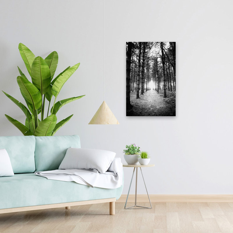 Coucher de soleil sur les pins - Photographie contemporaine, paysage, forêt, H 24 po x l 16 po