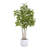 TREE SUMAC POT 7FT