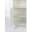 Miya Curio Cabinet