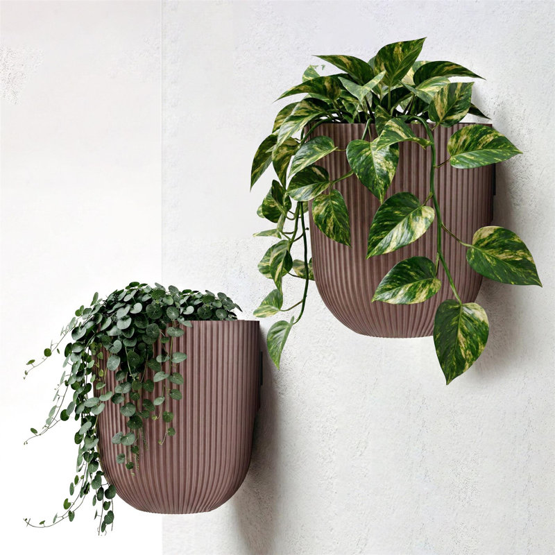 Wall Planter