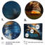 Toile d'art mural Tide Tranquility Oceanic Turtle II - Tortue