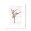 Ballet toute la journée 3-48187467-48187465