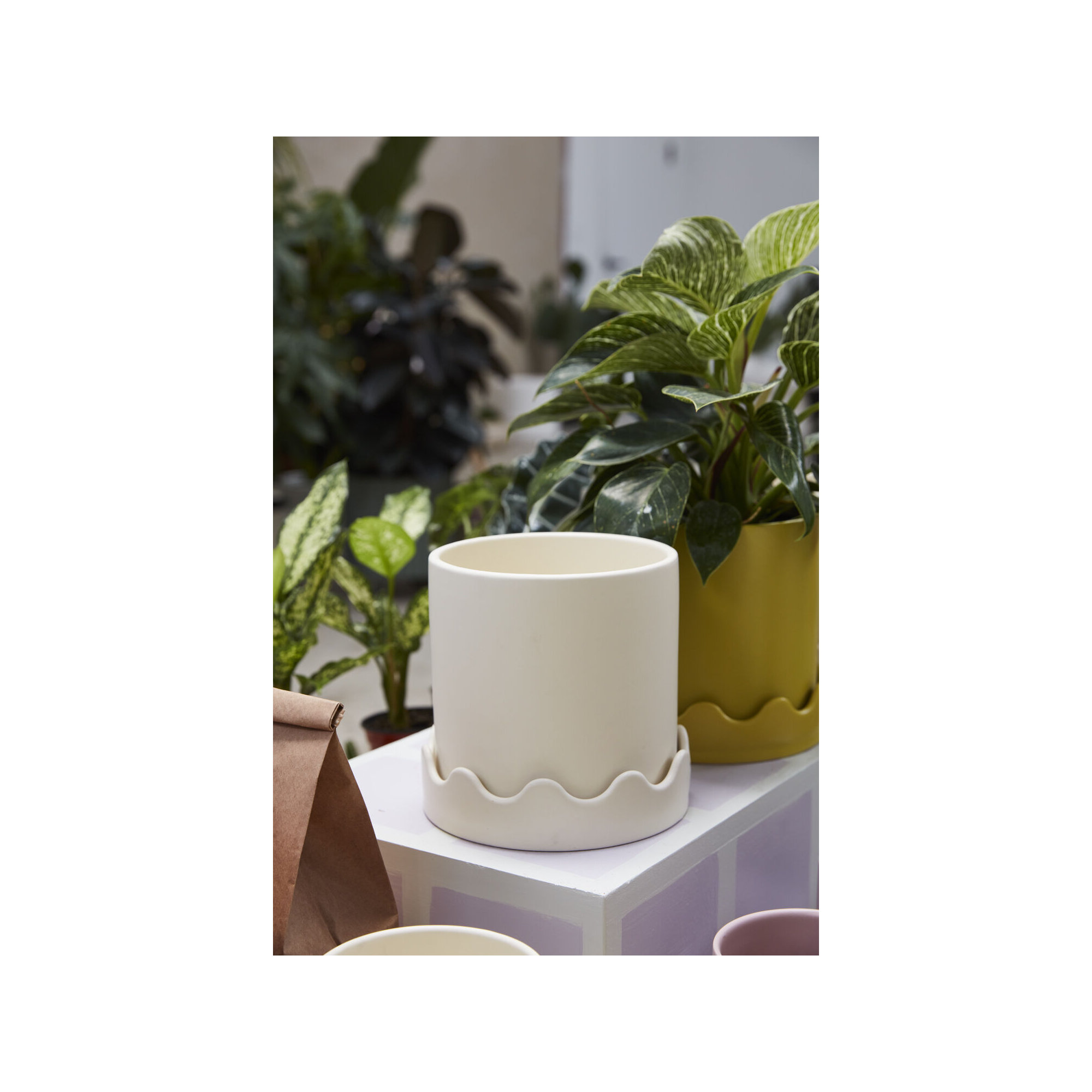 Winterview Pot with Saucer 7.5"x 7.25", Beige, 7.25" H x 7.5" W x 7.5" D