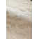 TIGRESS WALLCOVERING
