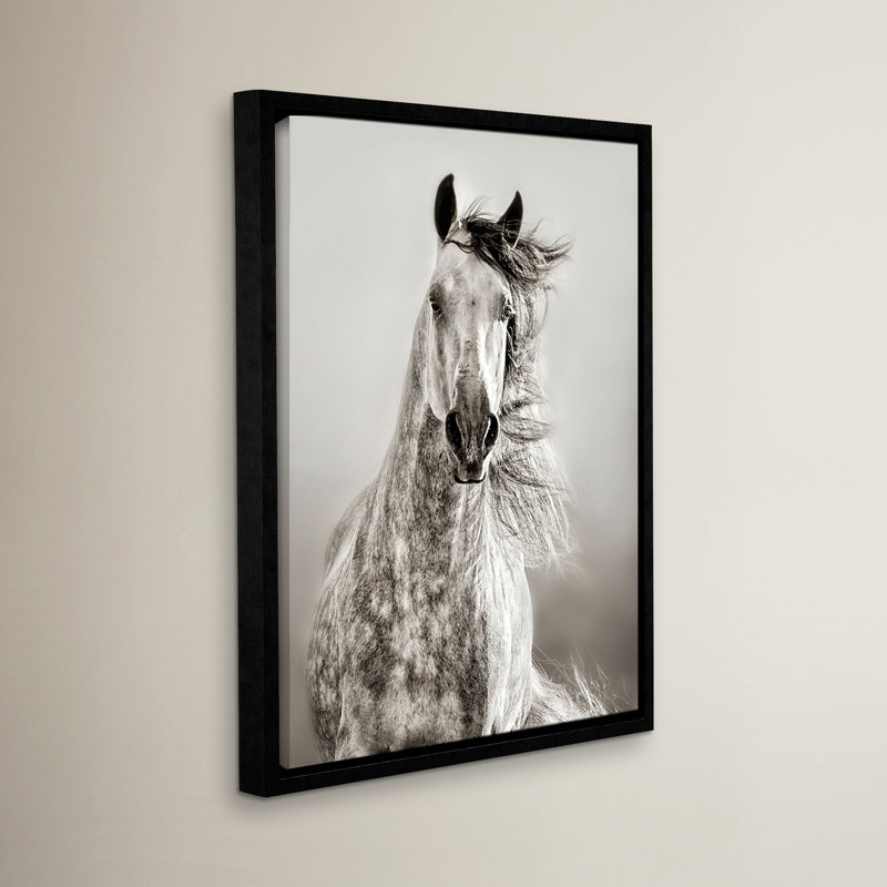 Caballo de andaluz, reproduction de photo encadrée, H 32 po x l 24 po x P 2 po