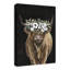 Impression sur toile Highland Cow Portrait-604474845