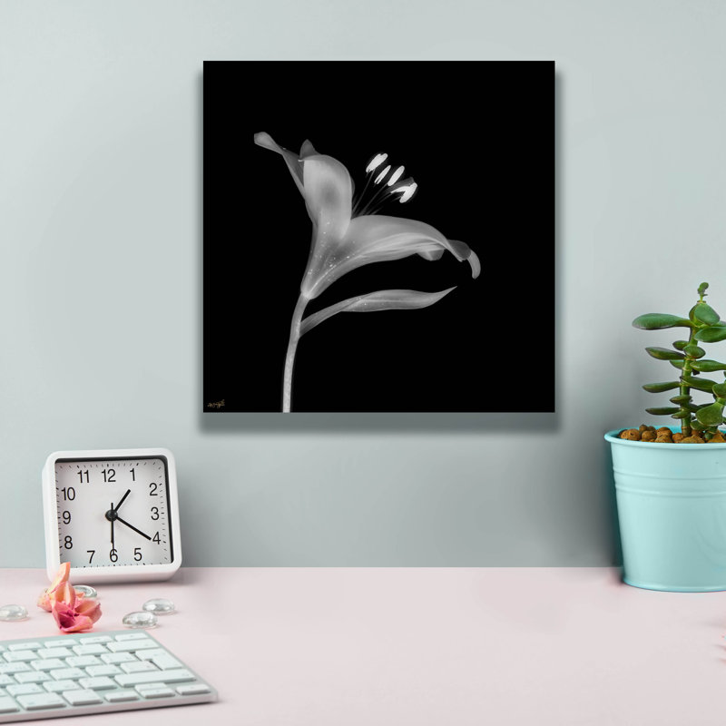  «Lily 2» par Life BeautifuLEE, art mural sur toile, 12 po x 12 po
