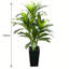 Decorative Bottle-1328866137