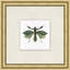 Flying Specimen 6 Print by Lillian August