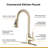 SOUEEUM Pull Down Kitchen Faucet-70941692