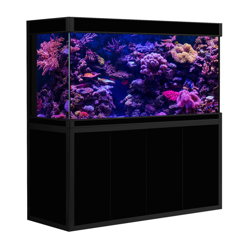 Réservoir d'aquarium rectangulaire, Blanc / Doré, 175 gallons (H 61 po x l 59 po x P 19,7 po)