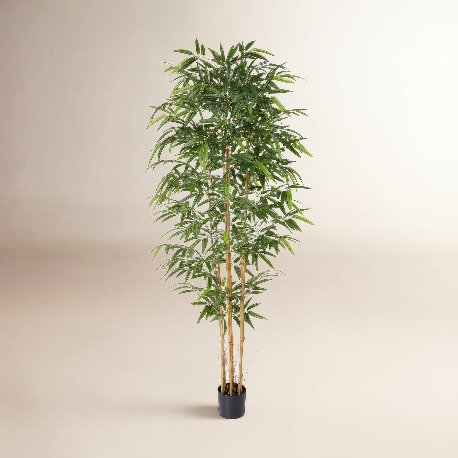 Bamboo Tree in Pot, 84" H x 26" W