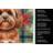 Red Lhasa Apso Christmas PoinsettIas Kitchen Towel-2080584176