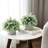 2 Piece Faux Eucalyptus Artificial Plants in Cement Pots