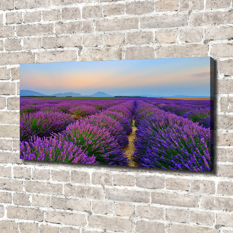 Lavender Field - Wrapped Canvas Print
