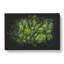 Green Tree Tops - Wrapped Canvas-56647402