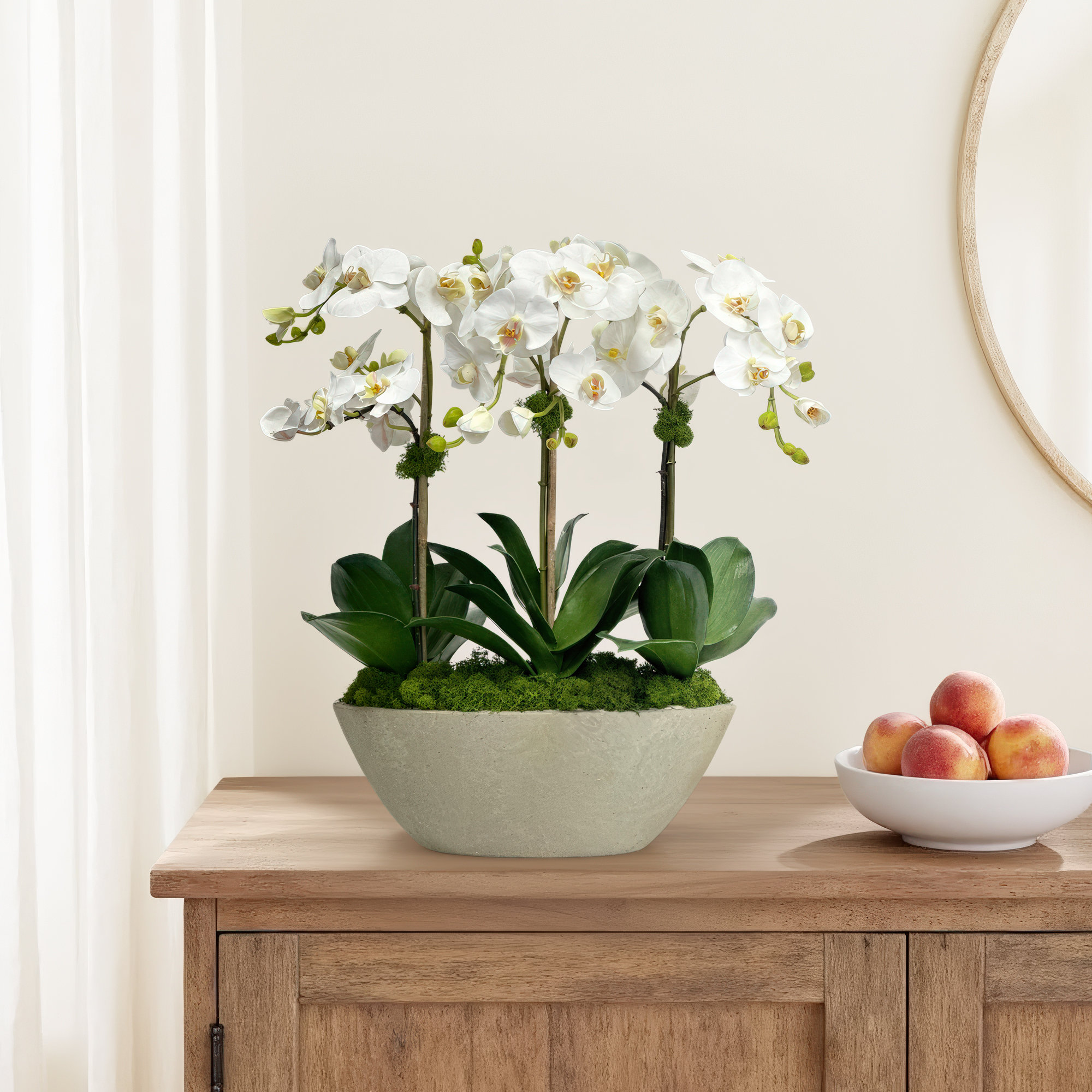 Arrangement in Pot