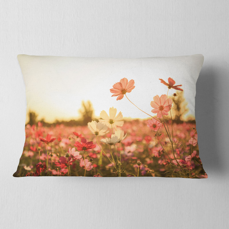 Coussin lombaire floral sur fond coucher de fleurs cosmos