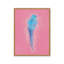 «Bright Birds I» par Sarah Adams, reproduction d'art-2026969216-2026969221-2026969228