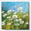 « summer field ii », reproduction d’art sur toile-60648795
