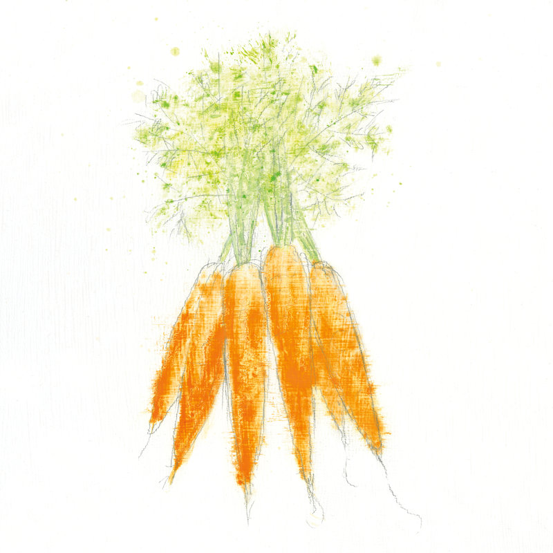 Garden Delight VIII by Emily Adams - No Frame Painting on Canvas, 30cm H x 30cm W x 3.8cm D