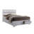 Lininger Solid Wood Storage Bed-203971501-161462544