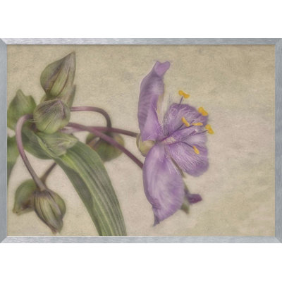 "Mauve fleur", art mural texturé encadré