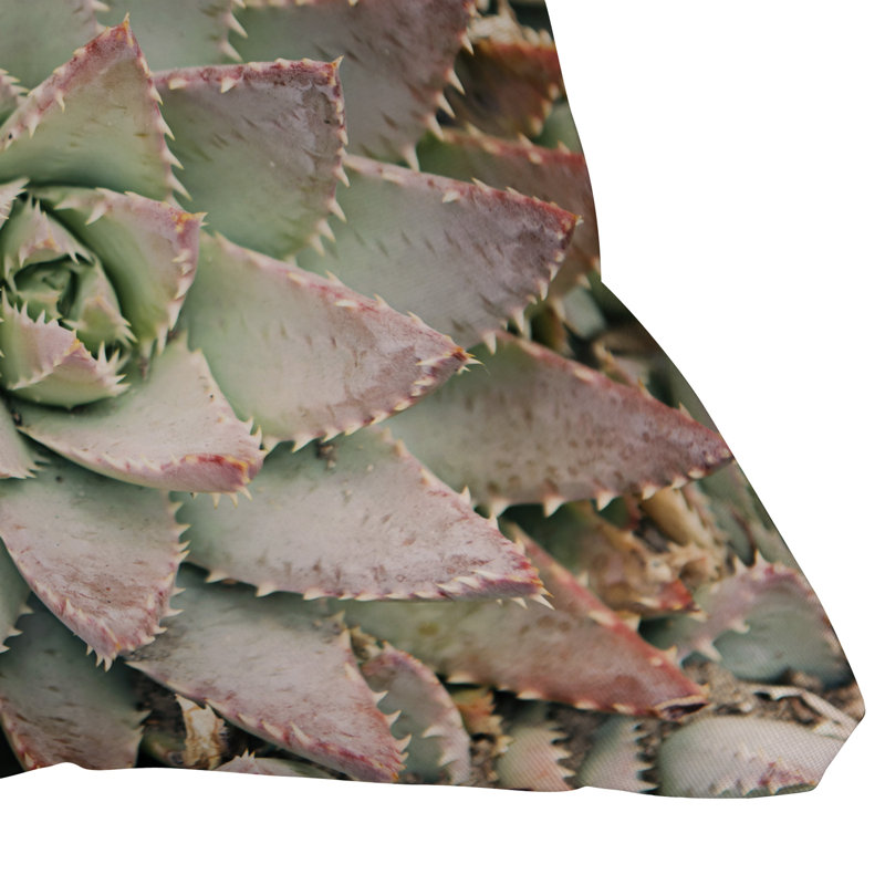 Bree Madden Succulent Indoor/Outdoor Throw Pillow