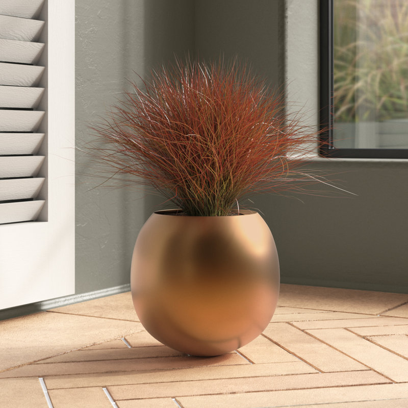 Indrani 10.5'' W Iron Footed Cachepot 
