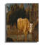 Wrapped Canvas Print Set