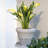 Resin Pot Planter-2044513441-2044513450