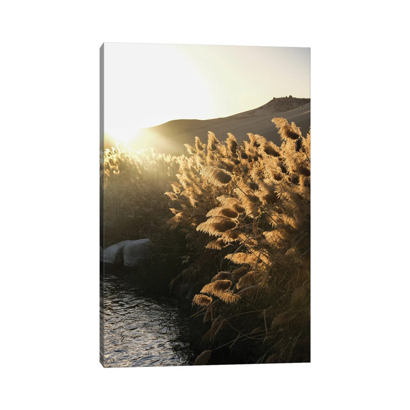 Nile Whisper by Gilliard Bressan - Gallery-Wrapped Canvas Giclée on Canvas, Wrapped Canvas