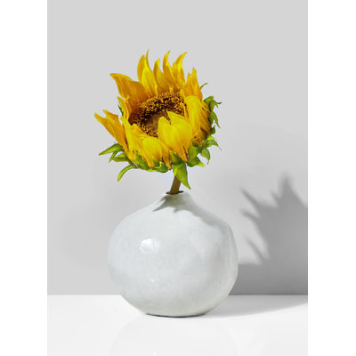 Alcalde Table Vase - Set of 2