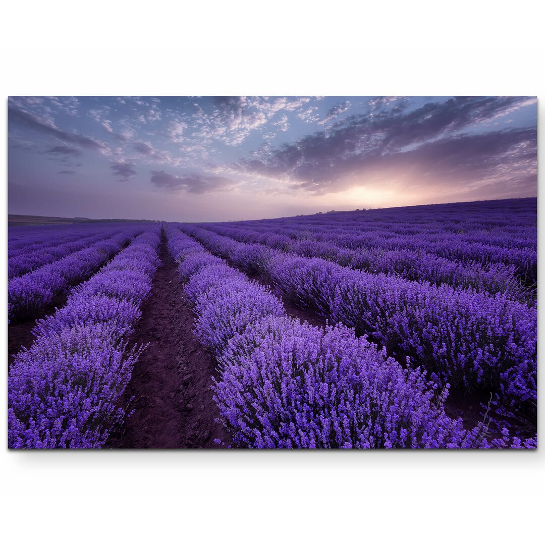 Leinwandbild Lavendel Feld