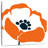 Harnek Pop Art Floral III-109392910