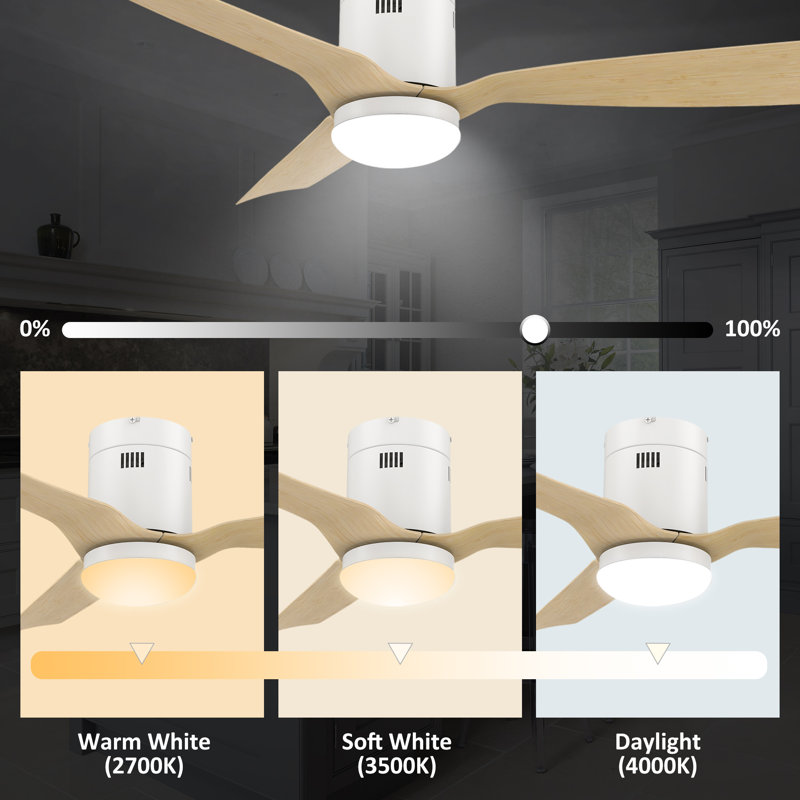 Ventilateur de plafond 52 po avec lumières DEL Leonhard