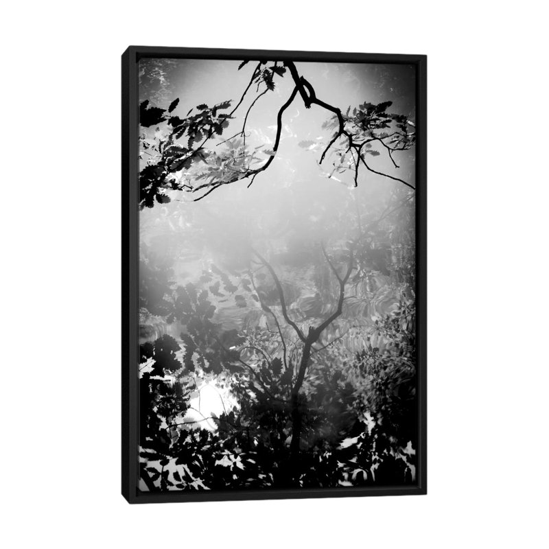 Daydream, reproduction de photo sur toile tendue, H 26 po x l 18 po x P 1,5 po, Toile avec cadre noir, Pas de tapis