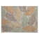 Machine Washable Indoor/Outdoor Braegger ACN2348 Botanical Rug