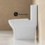 Toilette compacte ronde à double chasse 1,1 / 1,6 GPF Sublime II de Suisse Madison Sublime II-121372866-121372869-121372868