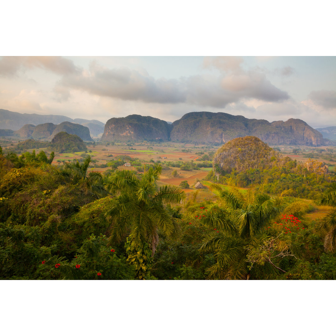 Blick über das Vinales-Tal von Anzeletti - Kunstdrucke auf Leinwand