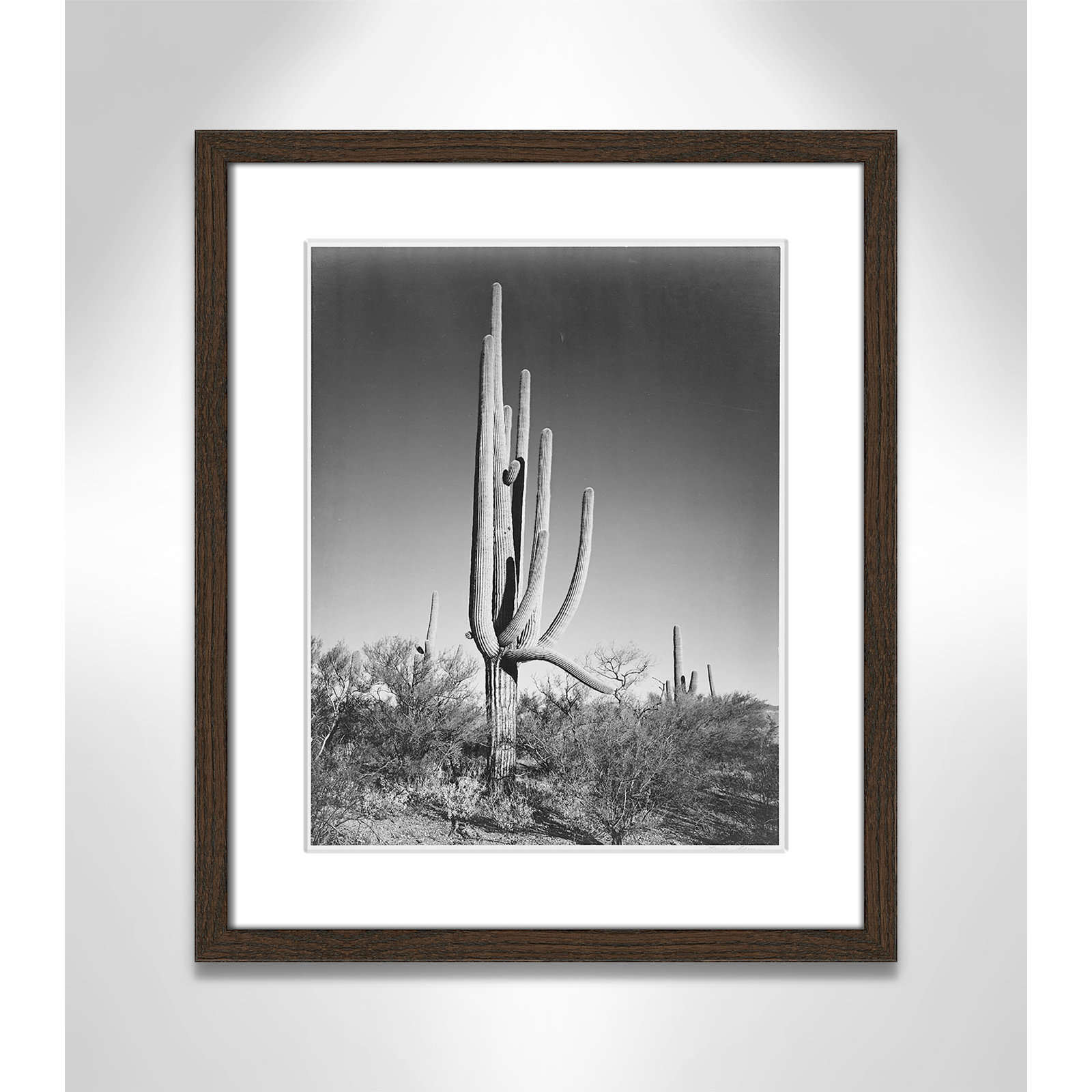 Saguaro National Monument Print by Ansel Adams, 19" H x 16" W x 0.75" D, Walnut