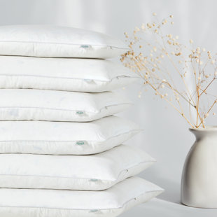 Insert de coussin en duvet d'oie