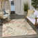 Clemencio Sage Rose Modern Rug