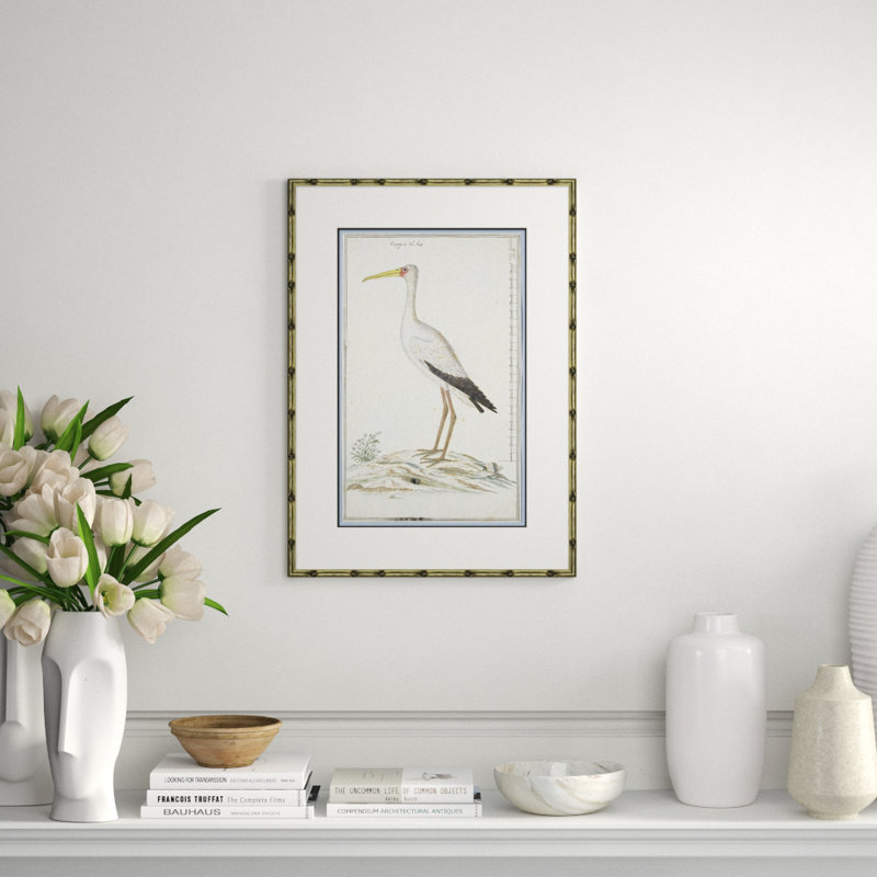 Bird Drawings, Circa 1777 Giclee Print