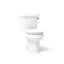 Wellworth® 1.28 GPF Water Efficient Elongated Two-Piece Toilet (Seat Not Included)-101432717-10977996