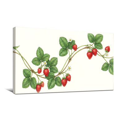 Plantes et fleurs de vigne aux fraises avec feuilles et baies