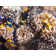 Eddins Washable Oriental Indoor Rug