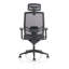 Ergo Twist Mesh Office Chair with Headrest