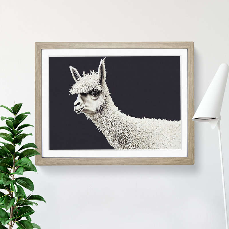 Portrait of a Llama - Framed Print