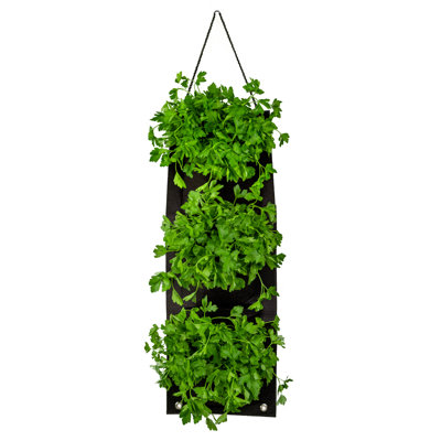 Touch Of ECO Organic Herb Seed Hanging Planter Bag Kit - Parsley
